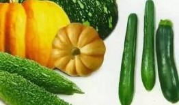 大的吃瓜图片,一场视觉盛宴的深度解析