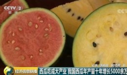 吃瓜群众国际,全球热点事件背后的趣味解读