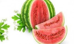 瓜瓜吃瓜简介版,揭秘娱乐圈幕后故事