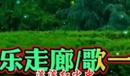 今天吃瓜干饭公司