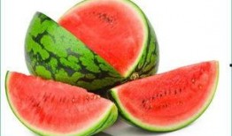 吃瓜运动的视频,揭秘网络视频热潮背后的故事