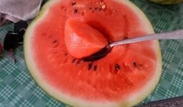 成都朋友都在吃瓜,朋友圈热议的美食新宠