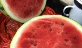 专业吃瓜吐籽,揭秘娱乐圈幕后真相