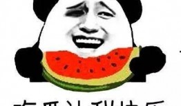 吃瓜群众娃,揭秘娱乐圈幕后故事