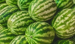 梦里云里吃瓜,一场奇幻的云端美食之旅