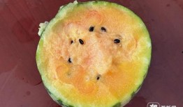 丽水今日吃瓜新闻视频,今日吃瓜新闻视频揭秘惊人内幕