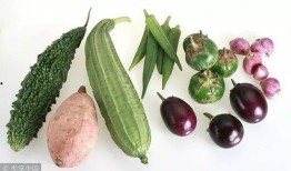 广应科吃瓜,揭秘校园热点事件背后的真相