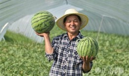 北龙湖吃瓜视频,揭秘网红美食背后的故事