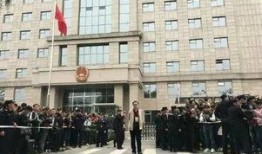 离婚法院吃瓜,一场家庭纷争的法庭演绎