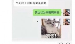 娱乐吃瓜酱工资