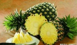 金丝凤吃瓜,一场甜蜜的夏日盛宴