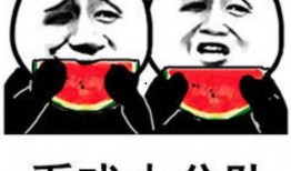 发吃瓜表情包的人,揭秘网络表情包背后的生活百态