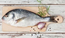 冲浪鱼仔吃瓜,揭秘海洋中的美食传奇