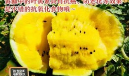 寻馆吃瓜,揭秘美食背后的故事与传奇