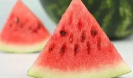 吃西瓜你吃吸瓜,吸瓜，尽享夏日清凉