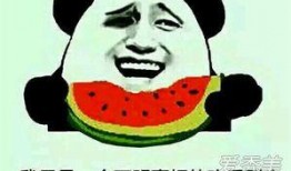 吃瓜很大的瓜啥意思,网络热词背后的文化现象