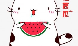 白兔吃瓜图片表情包,萌态可掬，瓜趣横生