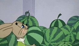 吃瓜最多的人,揭秘吃瓜最多人生的精彩篇章