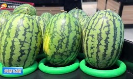 小市民吃瓜,揭秘日常生活中的趣味八卦