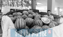 河南中牟吃瓜,探寻河南特色美食之旅