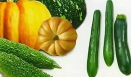 港铁吃瓜,揭秘地铁美食背后的故事