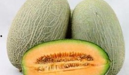孕中期吃哈密瓜,营养美味，助力母婴健康