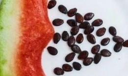 专业吃瓜吐籽,揭秘娱乐圈幕后真相