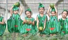 云吃瓜,揭秘网络时代下的娱乐狂欢现象