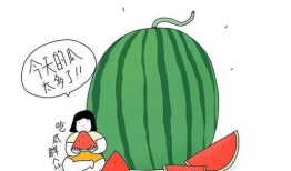 吃瓜投稿细节解析,一场网络舆论的狂欢与反思