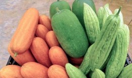 元素吃瓜,揭秘元素间的趣味互动