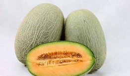 吃哈密瓜会出鼻血吗,揭秘水果与身体反应的奇妙关系
