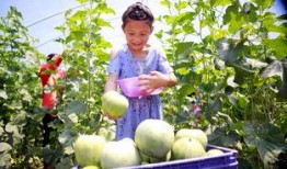 男视觉吃瓜,揭秘娱乐圈那些不为人知的幕后故事