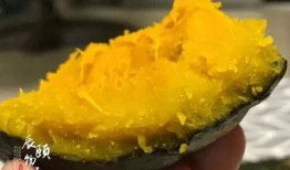 婴儿吃贝贝瓜辅食怎么吃,宝宝健康成长的营养佳品