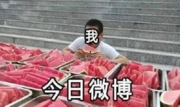 吃瓜小海,揭秘娱乐圈那些不为人知的幕后故事