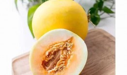 梦到吃蜜瓜不甜,揭秘梦到吃蜜瓜不甜的奥秘