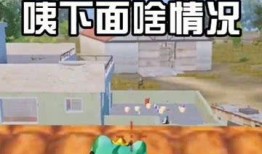 吃瓜吃鸡群众,揭秘网络社交新现象