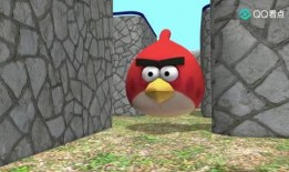 吃豆子瓜的小鸟,探寻自然界的趣味奇观