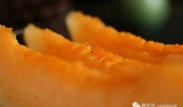 吃20个瓜,尽享20个瓜的甜蜜盛宴