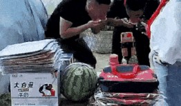 云吃瓜,揭秘网络时代下的娱乐狂欢现象