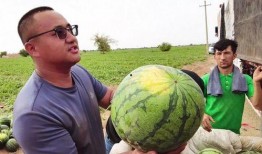 jj吃瓜比赛,jj吃瓜比赛精彩瞬间大盘点