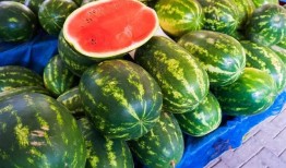 吃20个瓜,尽享20个瓜的甜蜜盛宴