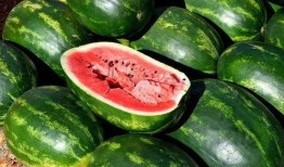 太九新鲜吃瓜,揭秘娱乐圈幕后故事