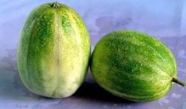 减肥可以吃的瓜,减肥期间的理想瓜果选择指南