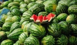 吃瓜应该打什么标签,揭秘“吃瓜群众”背后的标签奥秘