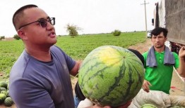 吃瓜每日吃瓜必吃大瓜,吃瓜群众的快乐源泉