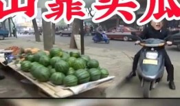 老友出行吃瓜记,一场别开生面的吃瓜之旅