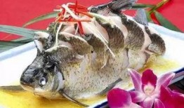 冲浪鱼仔吃瓜,揭秘海洋中的美食传奇