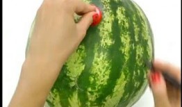 爱好是吃瓜,揭秘吃瓜爱好者的独特世界