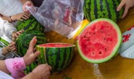 切瓜吃瓜视频,揭秘瓜类美食的多样魅力