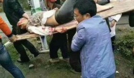 贵州吃瓜事件视频,一场引发热议的街头冲突瞬间